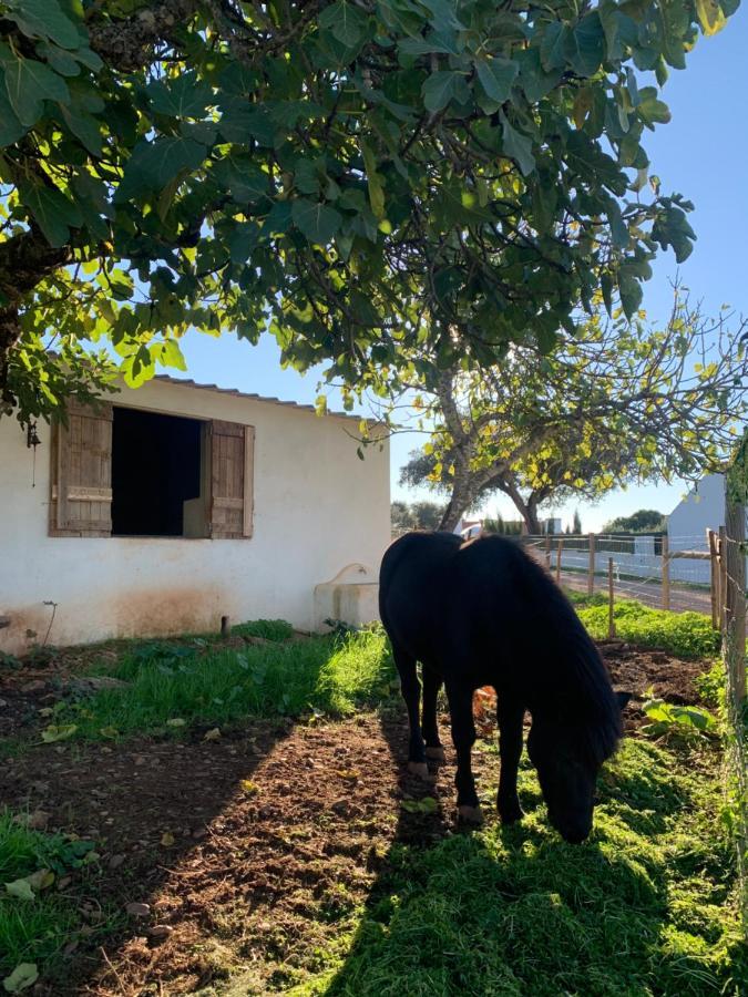 Herdade Da Maridona - Agroturismo Estremoz Eksteriør bilde